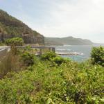 Sea Cliff Bridge